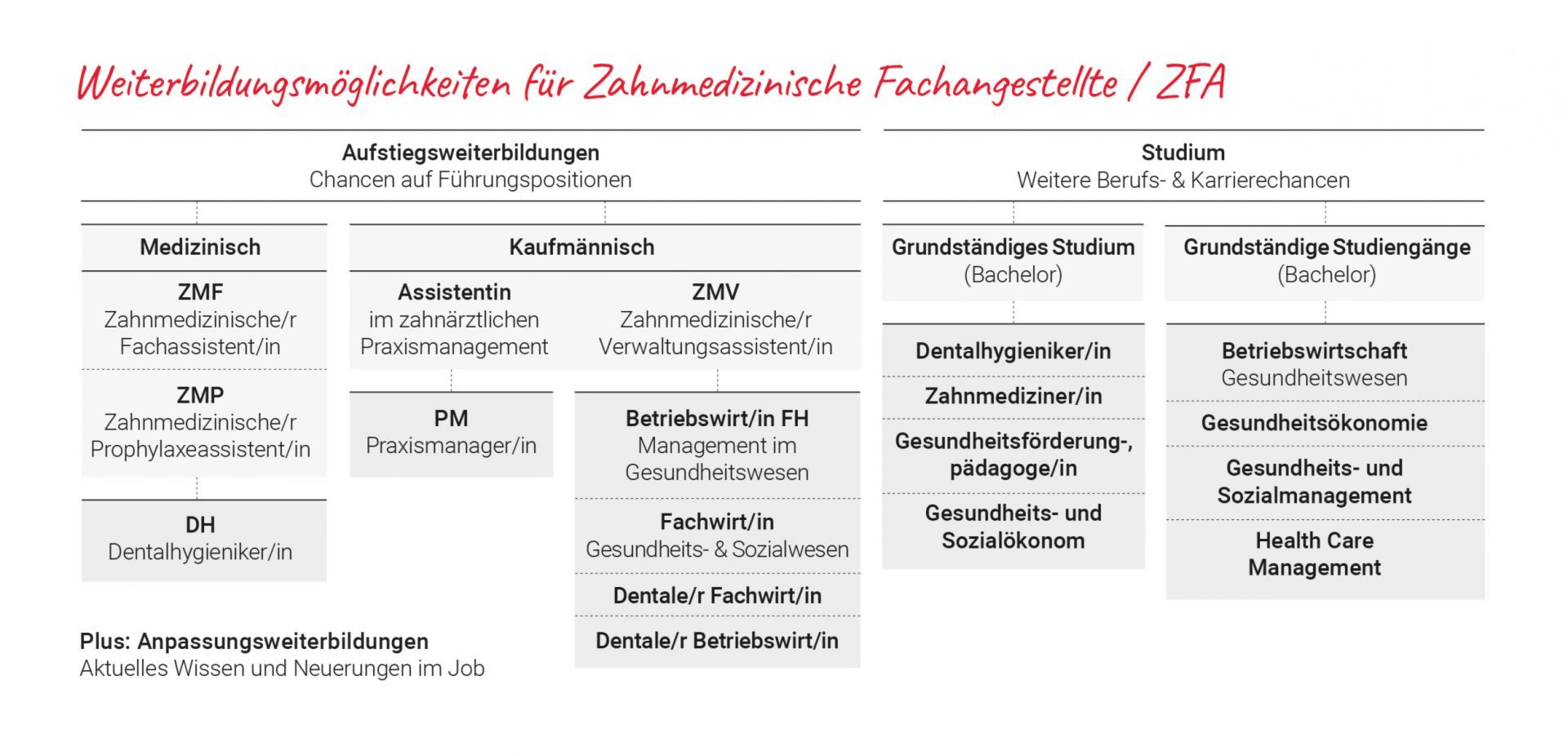 Weiterbildungsmöglichkeiten nach der Ausbildung zur Zahnmedizinischen Fachangestellten